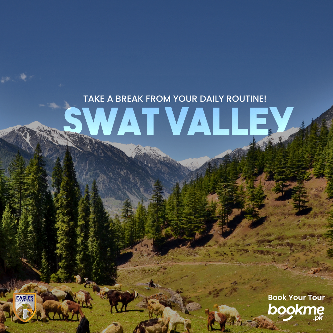 Swat, Kalam & Malamjabba by Eagles